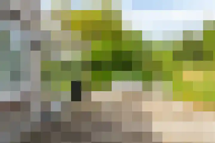 Klepperstee-Vlier 4 Ouddorp thumbnail 18