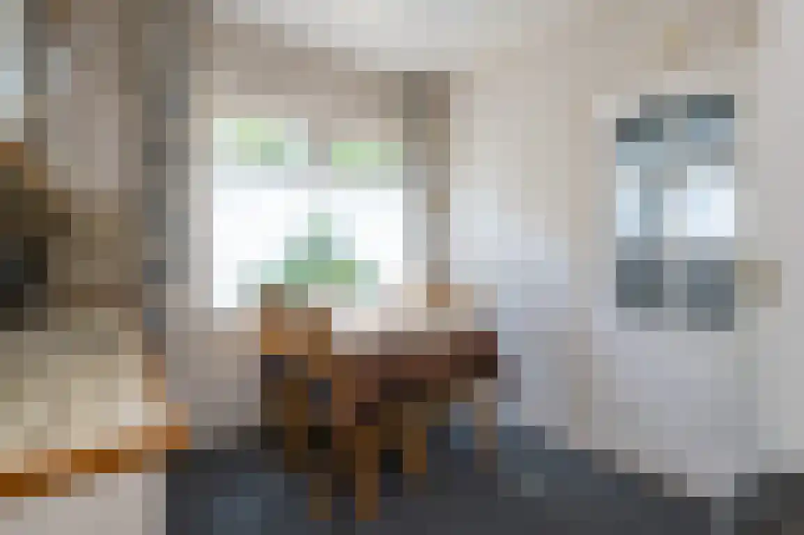 Klepperweg 20 Ouddorp thumbnail 10
