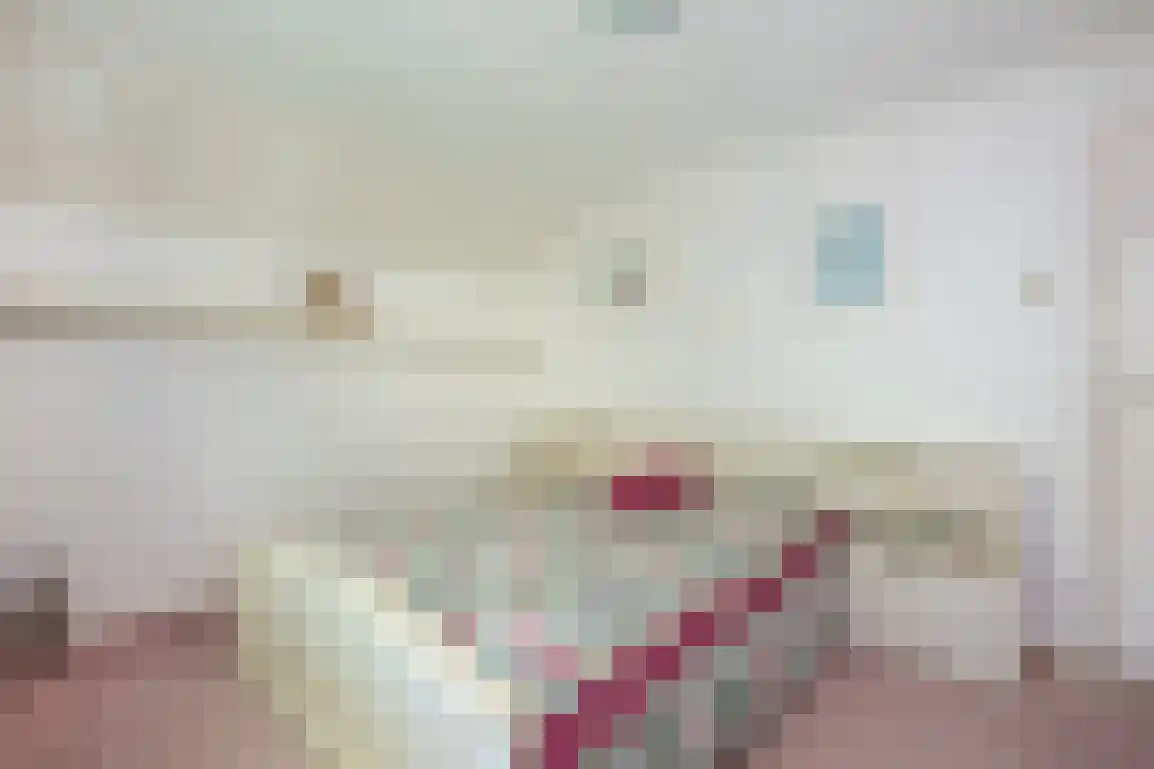Klepperweg 20 Ouddorp thumbnail 26