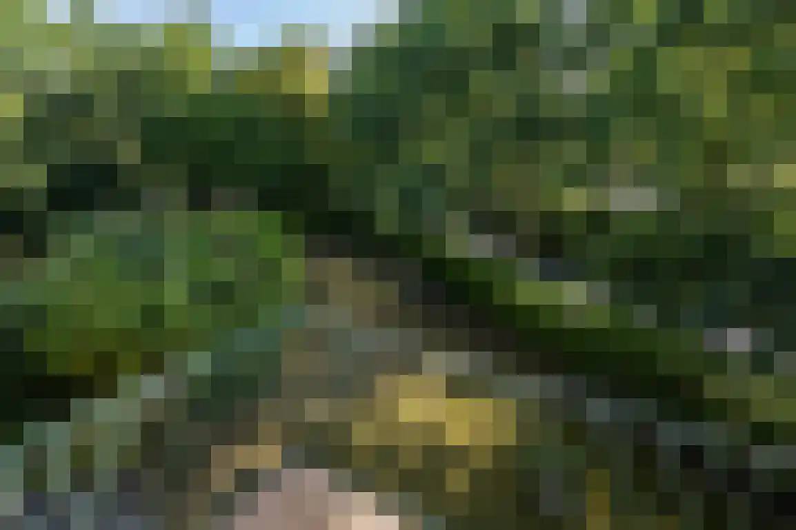 Klepperweg 20 Ouddorp thumbnail 31