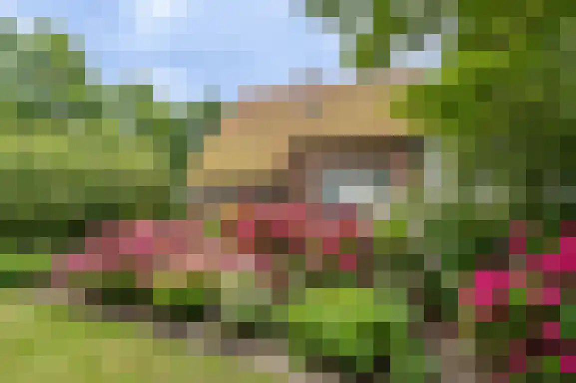 Klepperweg 20 Ouddorp thumbnail 34