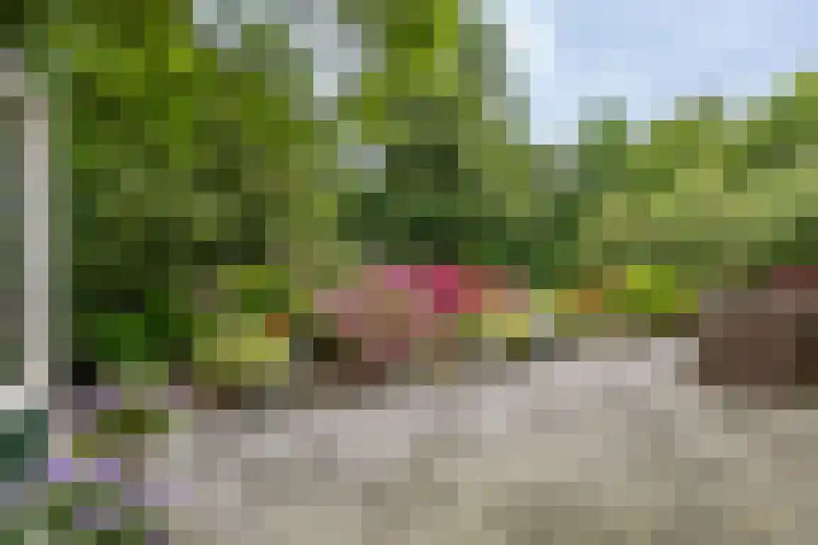 Klepperweg 20 Ouddorp thumbnail 37