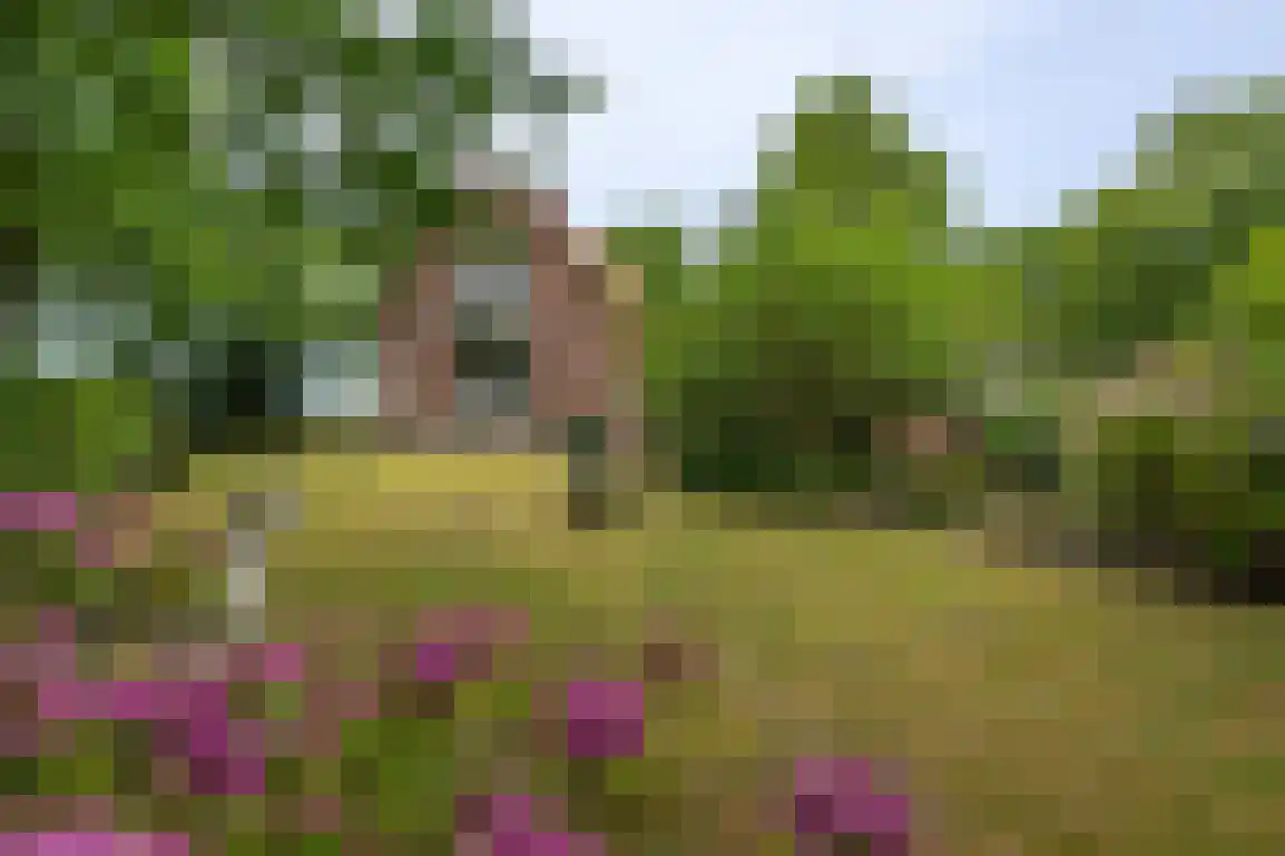 Klepperweg 20 Ouddorp thumbnail 38