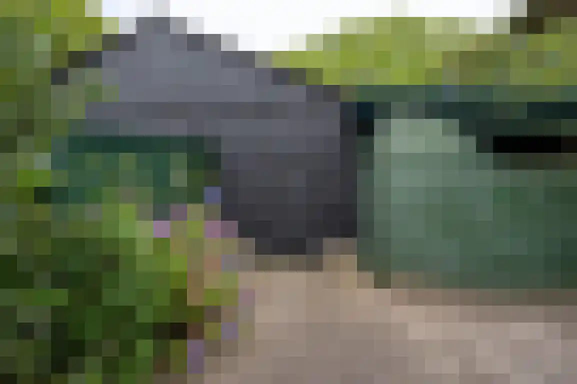 Klepperweg 20 Ouddorp thumbnail 41
