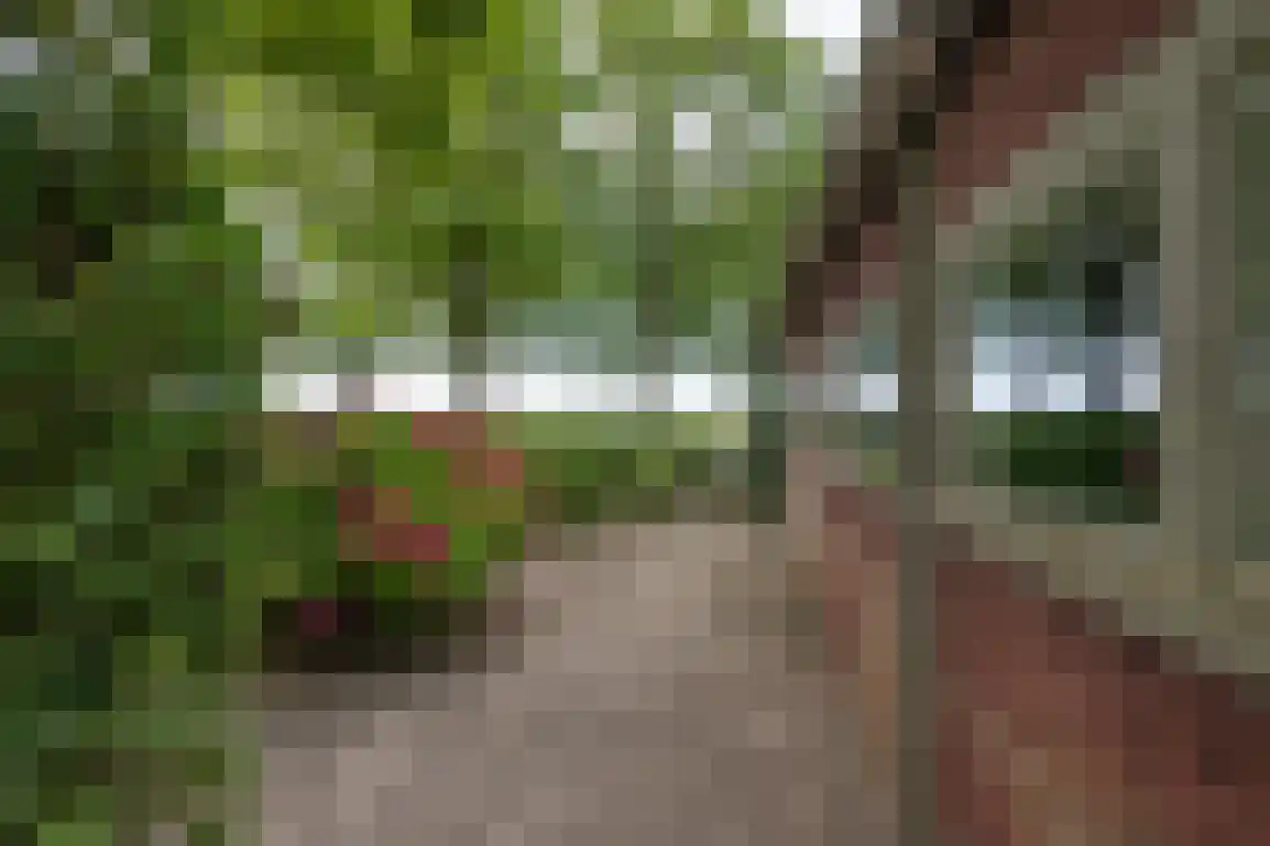 Klepperweg 20 Ouddorp thumbnail 44