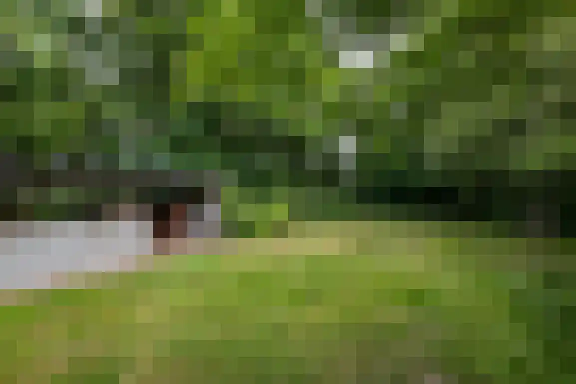 Klepperweg 20 Ouddorp thumbnail 45