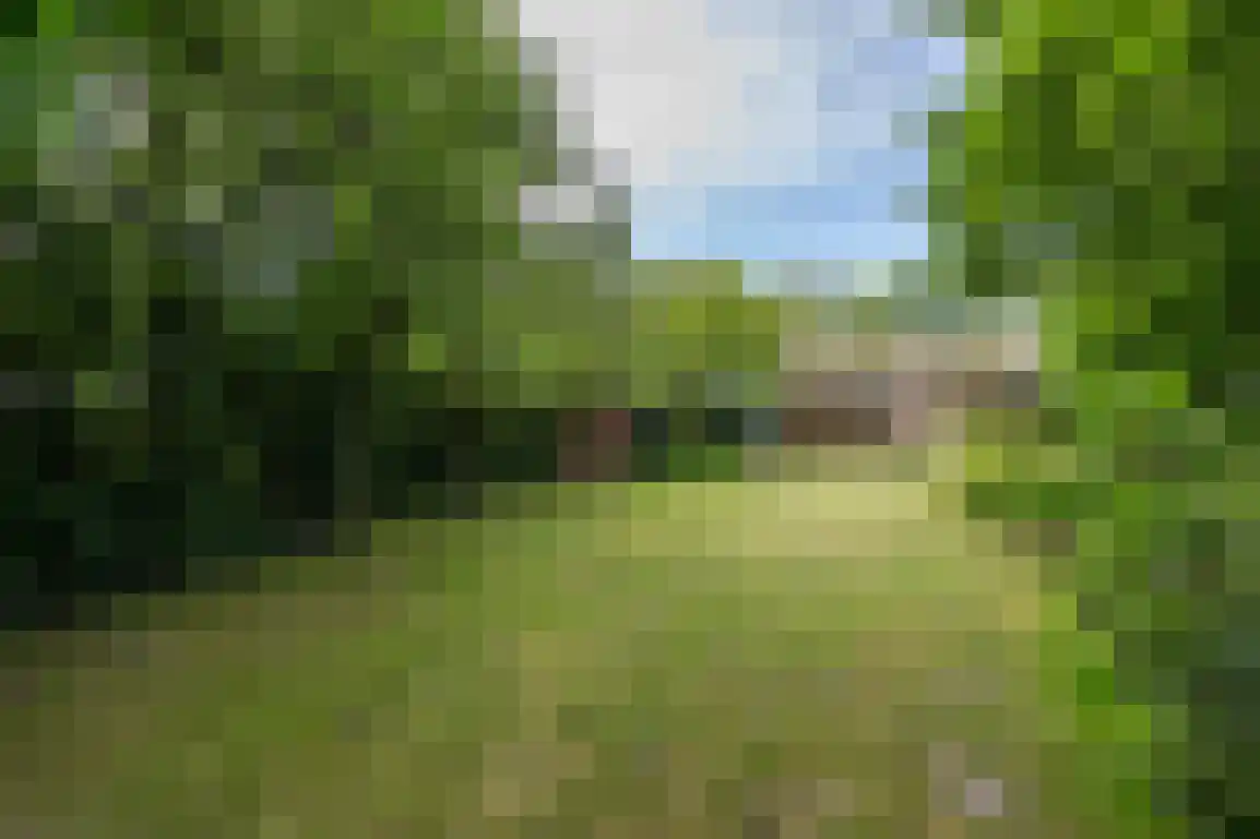 Klepperweg 20 Ouddorp thumbnail 46