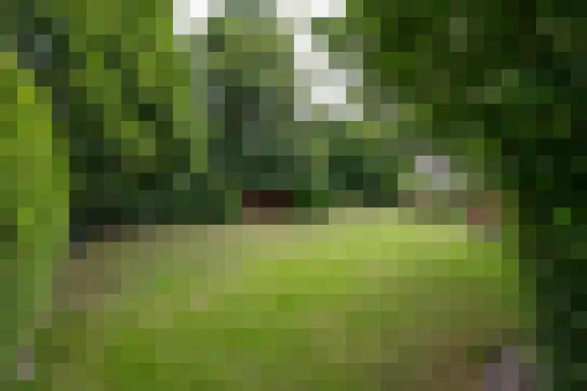 Klepperweg 20 Ouddorp thumbnail 47