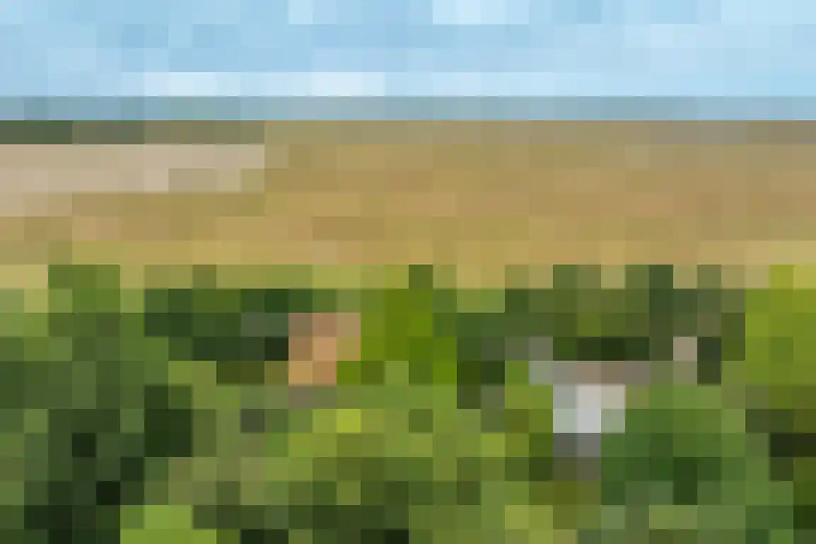Klepperweg 20 Ouddorp thumbnail 49