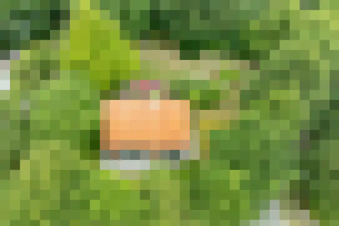 Klepperweg 20 Ouddorp thumbnail 50