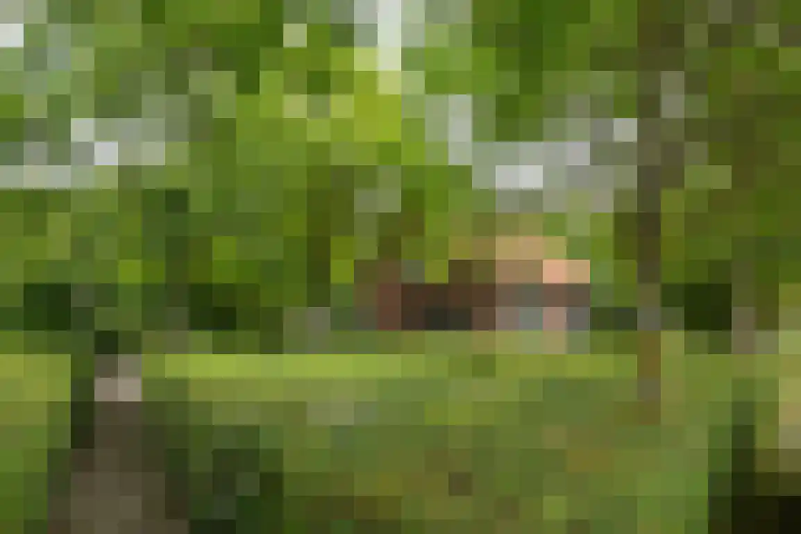 Klepperweg 20 Ouddorp thumbnail 51