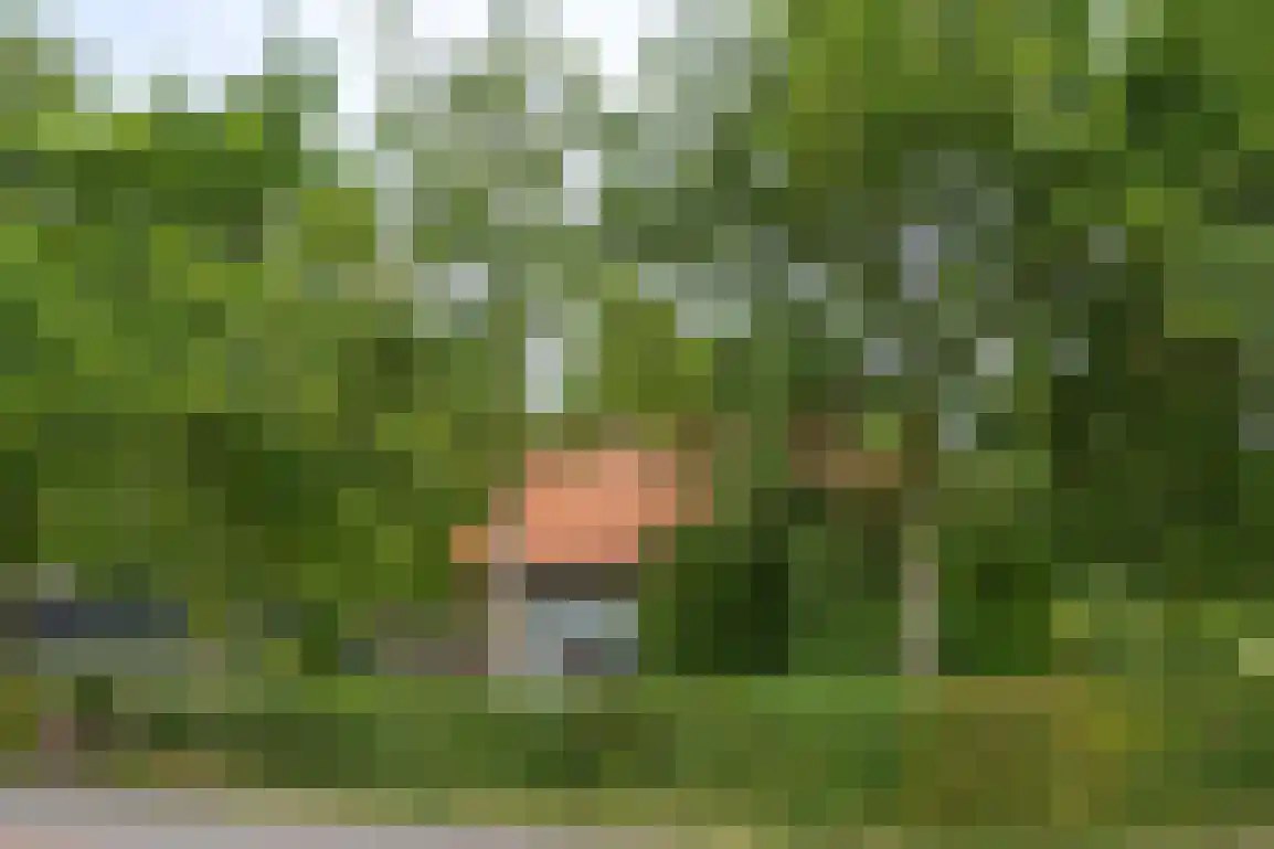 Klepperweg 20 Ouddorp thumbnail 52