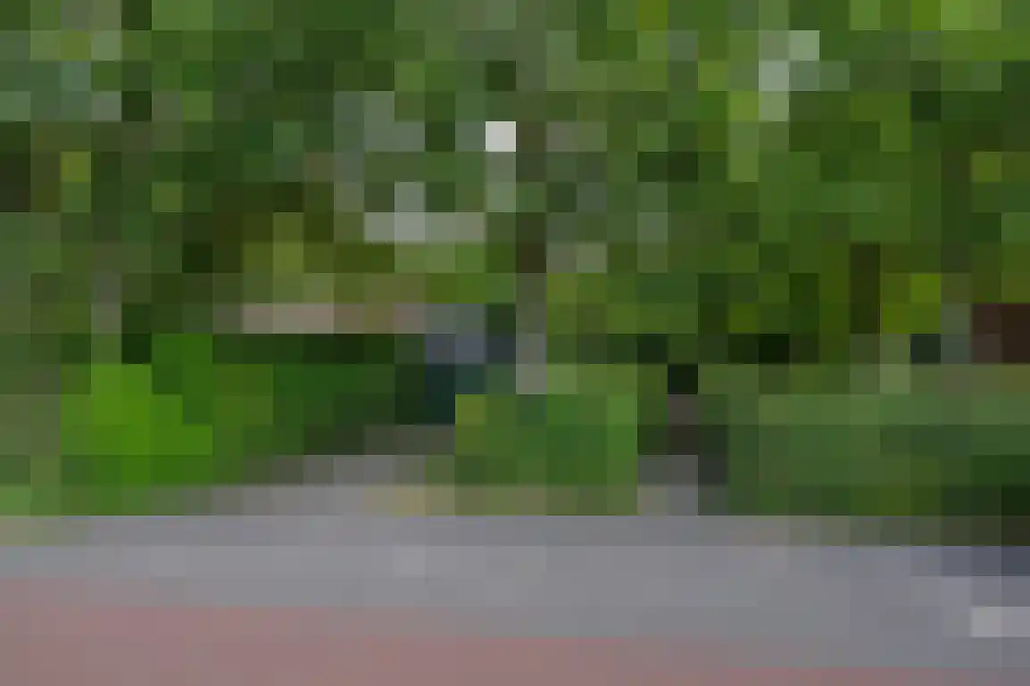 Klepperweg 20 Ouddorp thumbnail 54