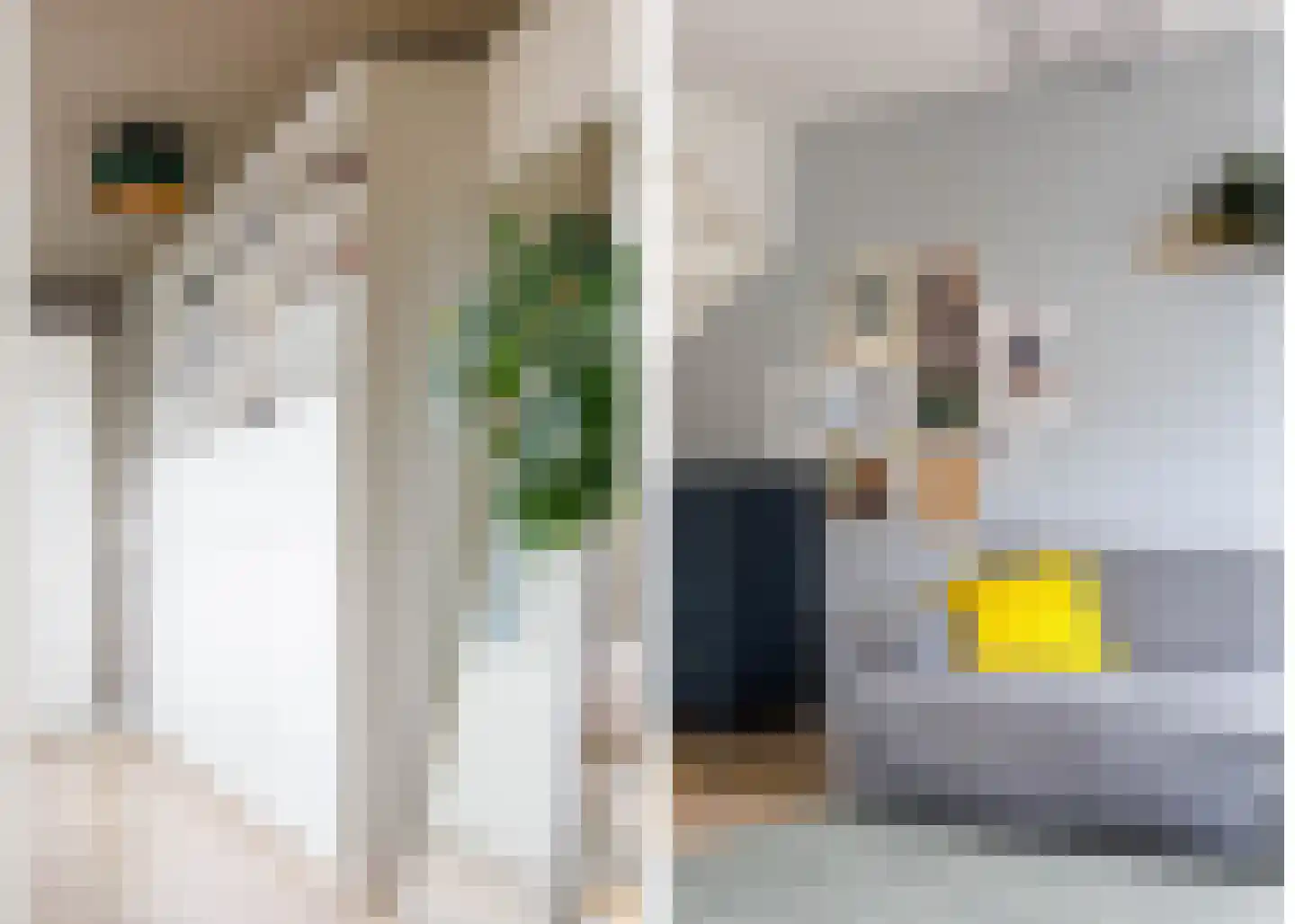 Klerkenhof 14 Leiderdorp thumbnail 12