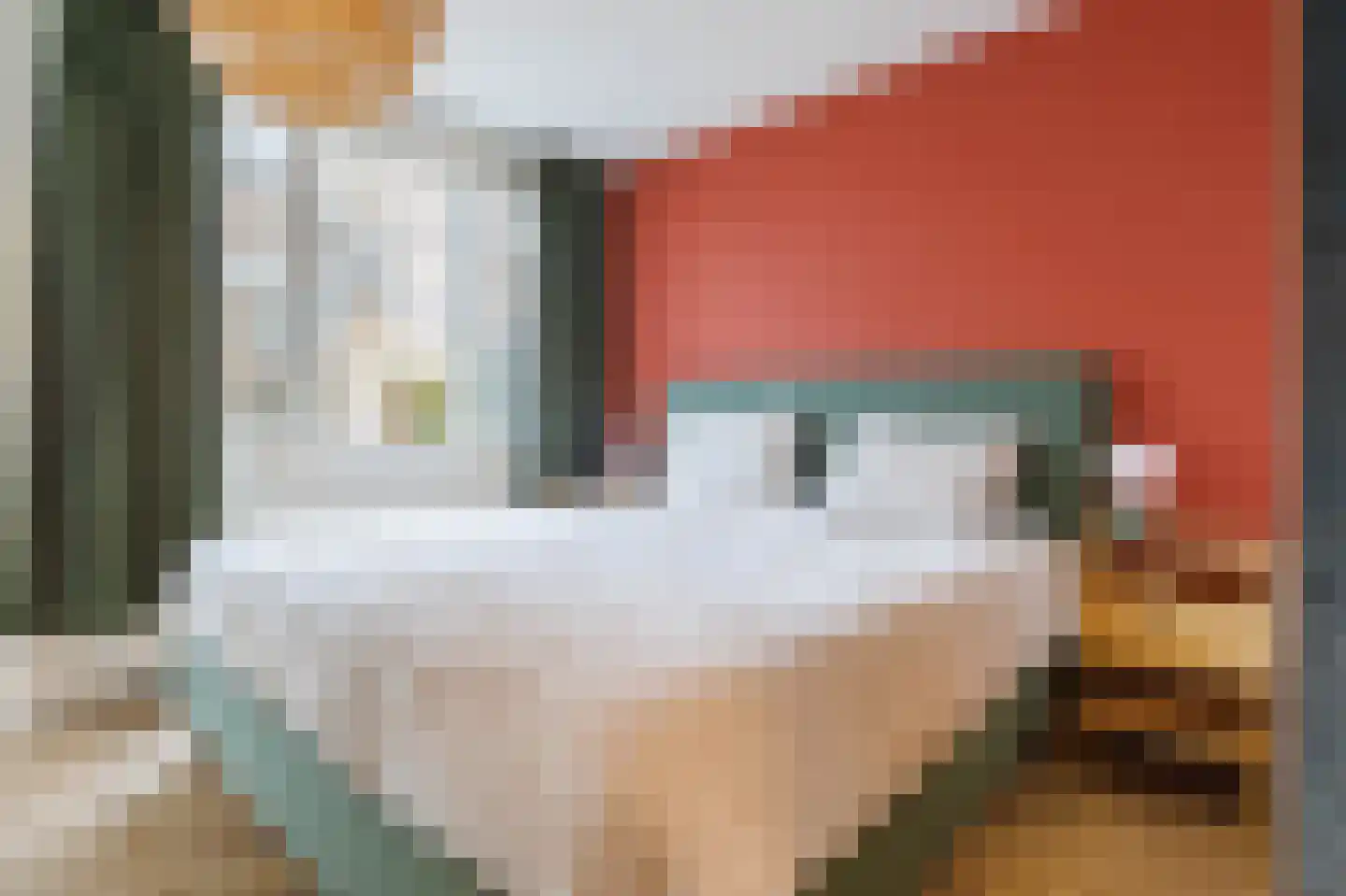 Klerkenhof 14 Leiderdorp thumbnail 20