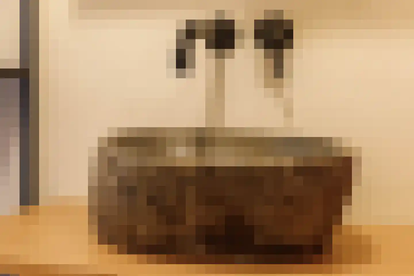 Klerkenhof 14 Leiderdorp thumbnail 23