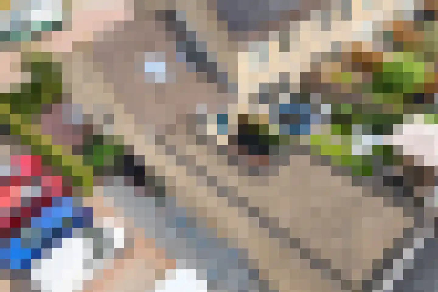 Klerkenhof 14 Leiderdorp thumbnail 4