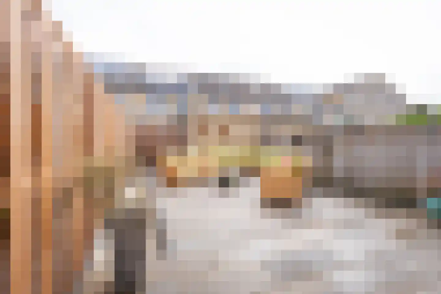 Klerkenhof 30 Leiderdorp thumbnail 21