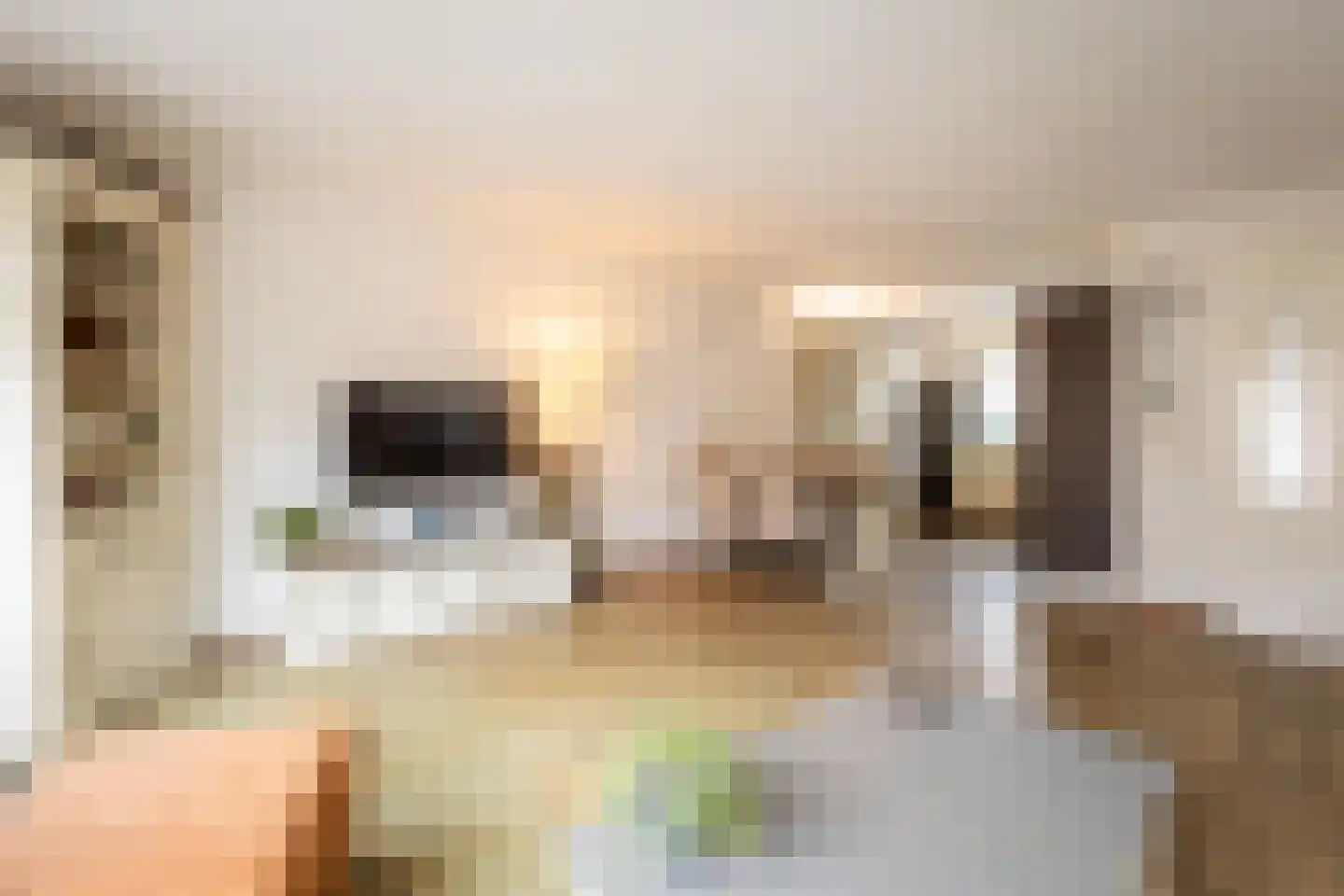 Klerkenhof 30 Leiderdorp thumbnail 7
