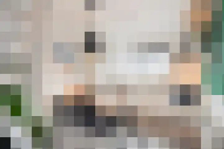 Klerkstraat 6 Zwolle thumbnail 11