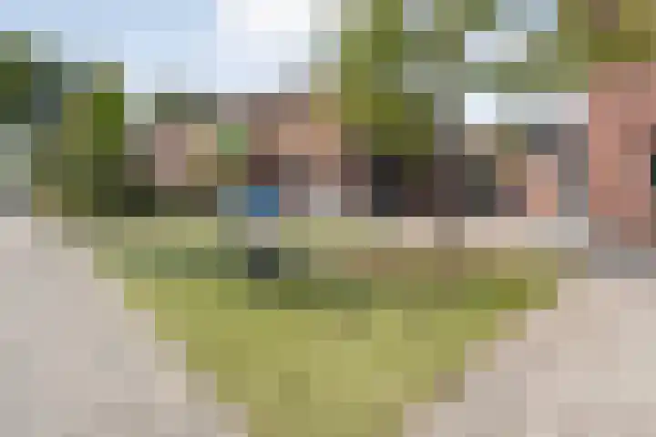 Klerkstraat 6 Zwolle thumbnail 5
