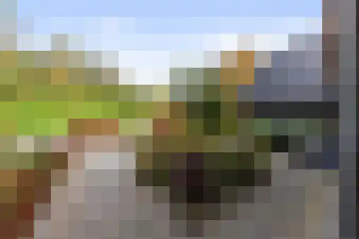 Kletterstraat 27 Epse thumbnail 29