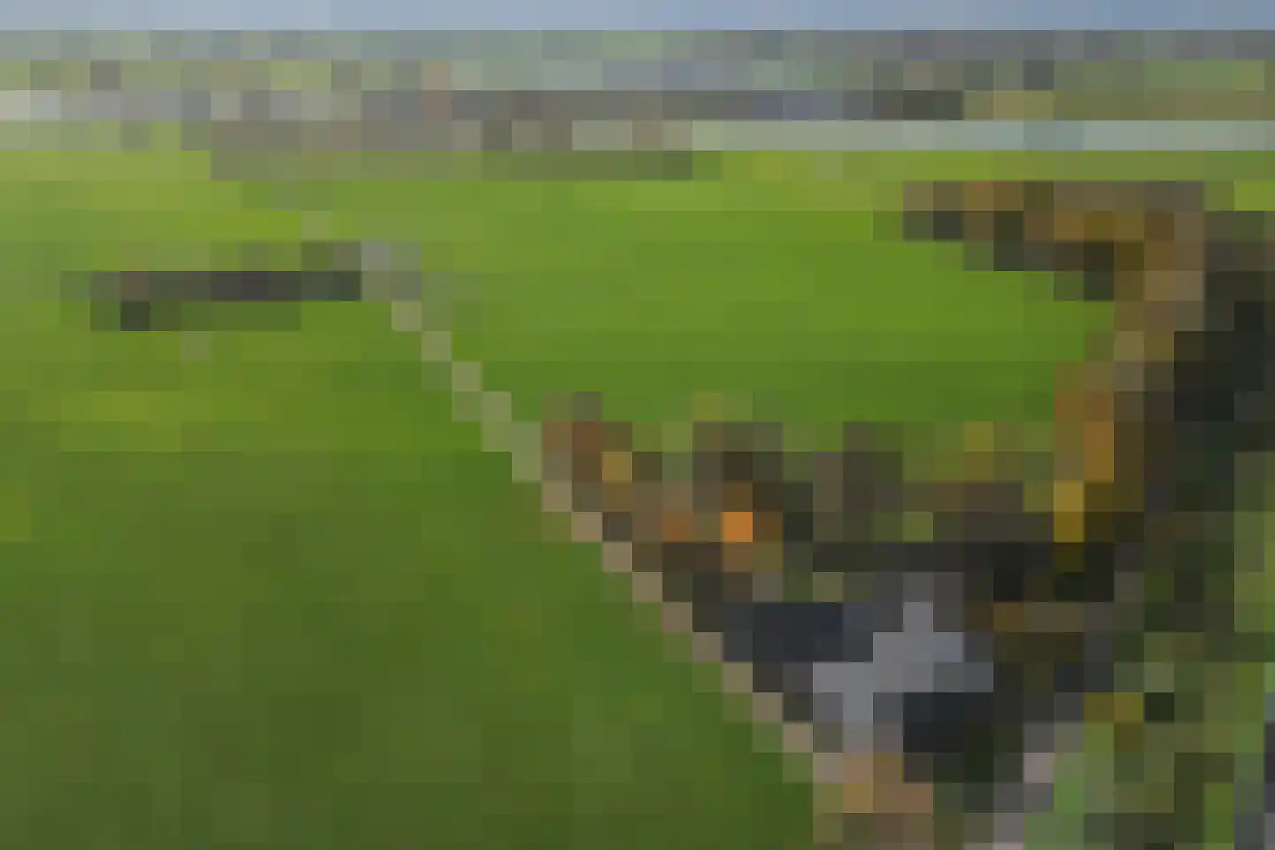Kletterstraat 27 Epse thumbnail 4