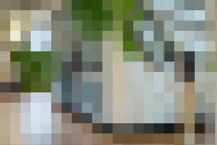 Kletterstraat 27 Epse thumbnail 40