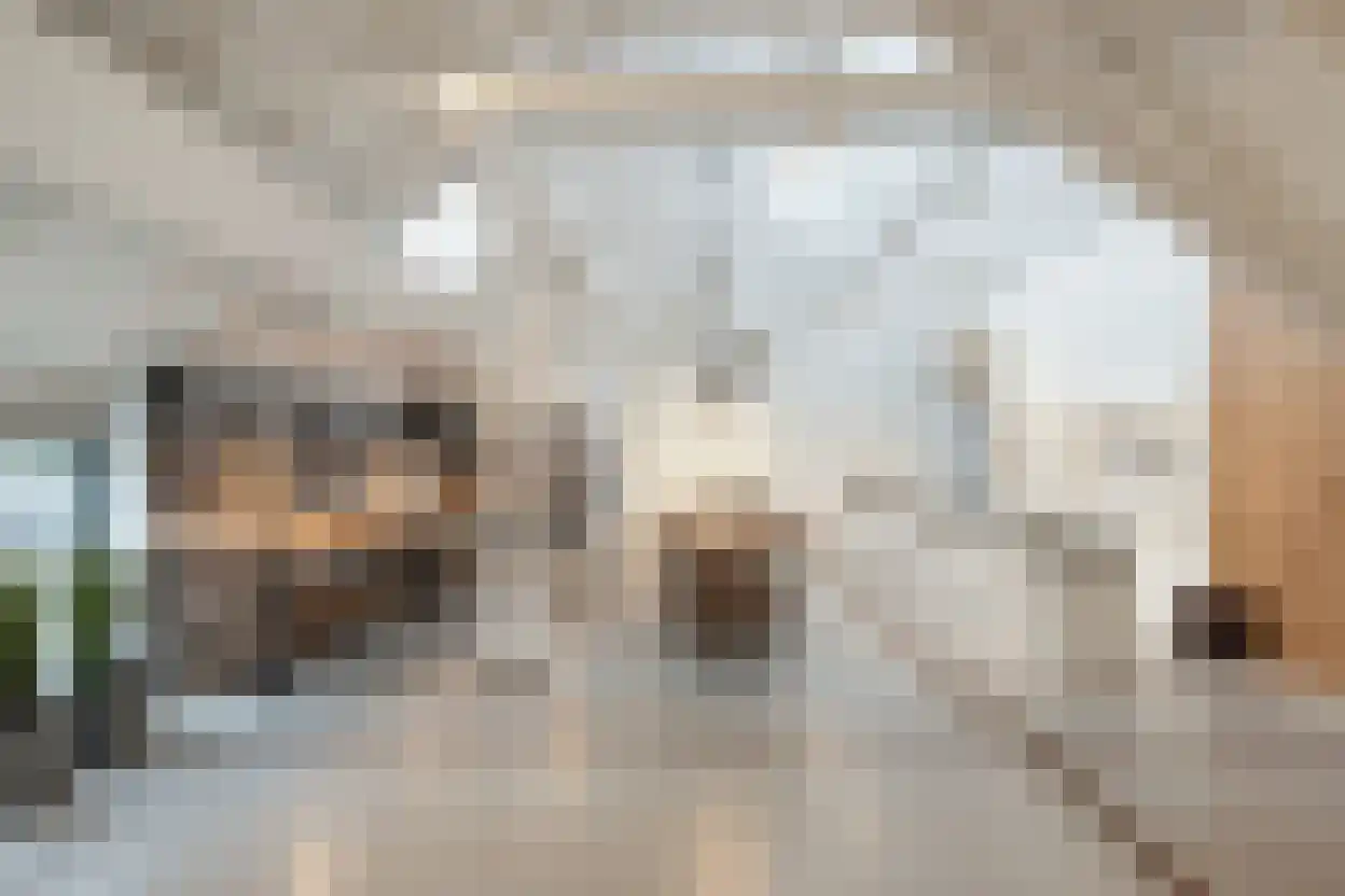 Kletterstraat 27 Epse thumbnail 62