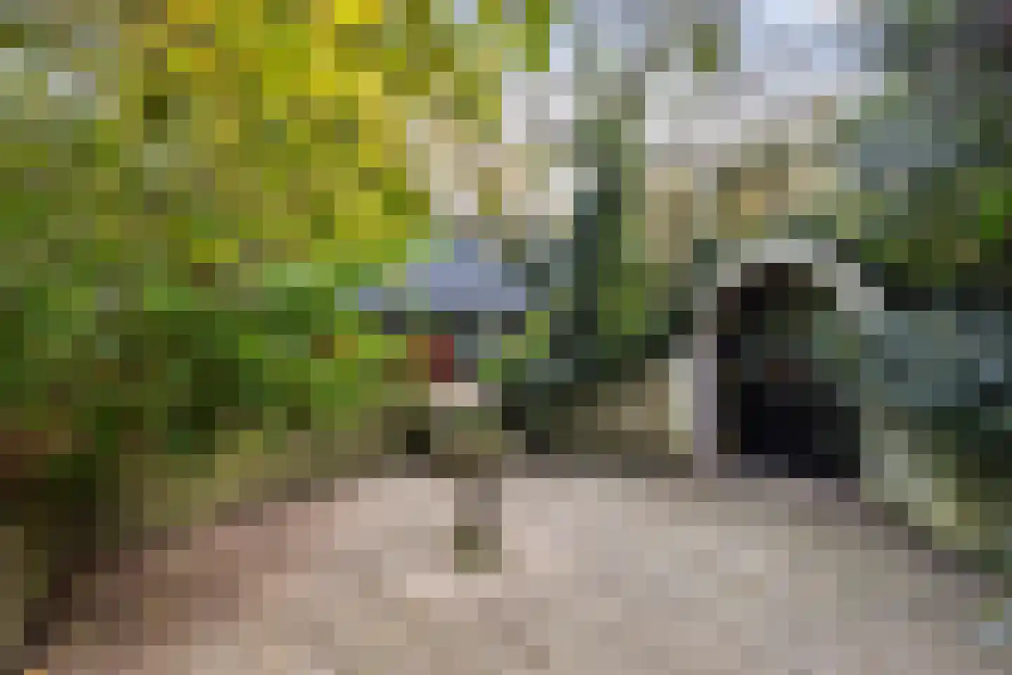 Kletterstraat 27 Epse thumbnail 7