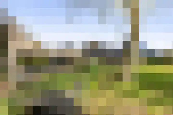 Kletterstraat 27 Epse thumbnail 75