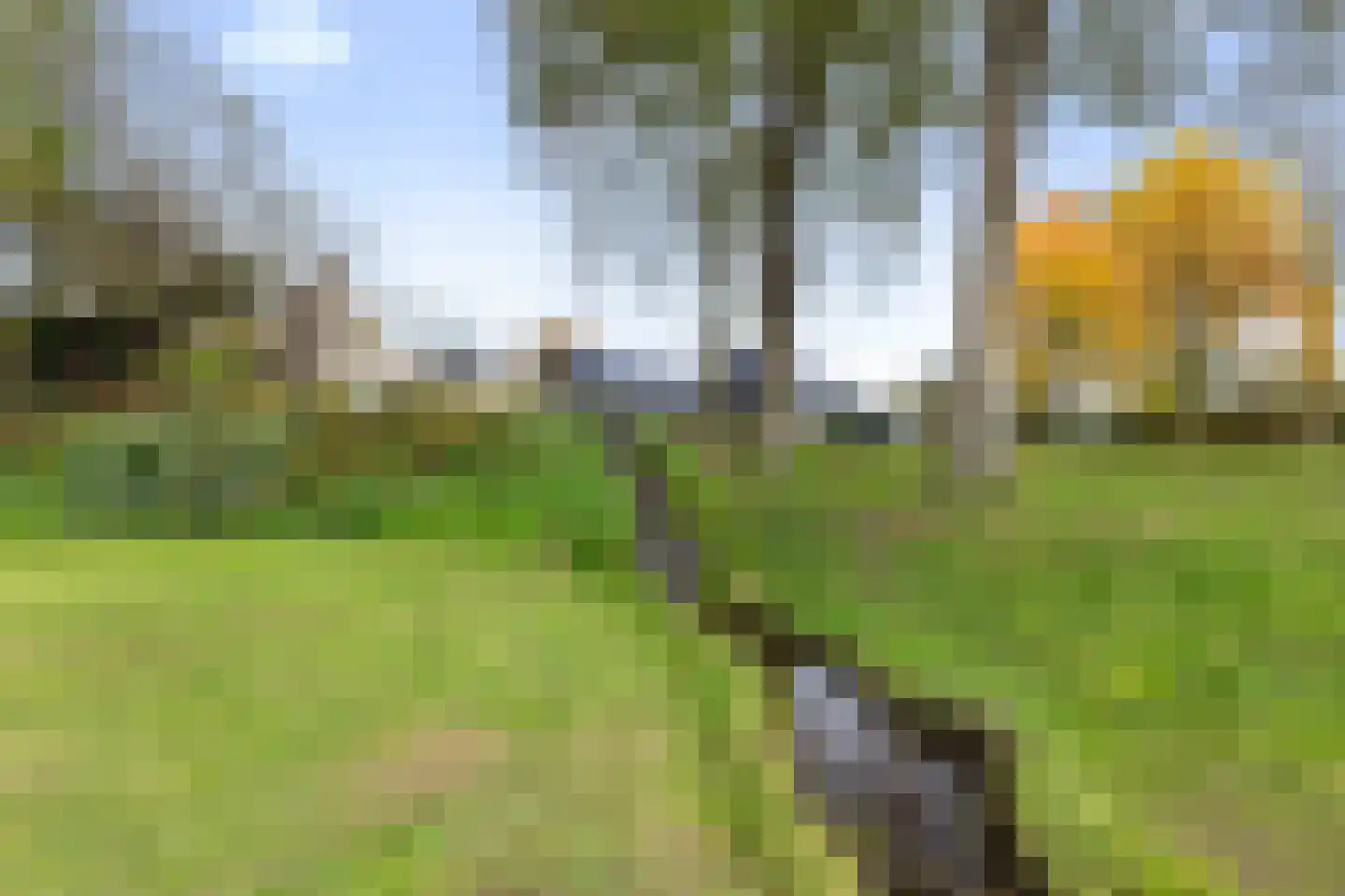 Kletterstraat 27 Epse thumbnail 85