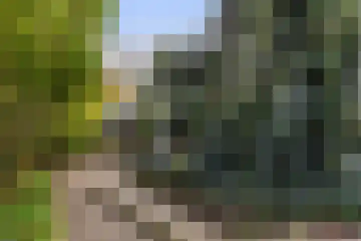Kletterstraat 27 Epse thumbnail 92