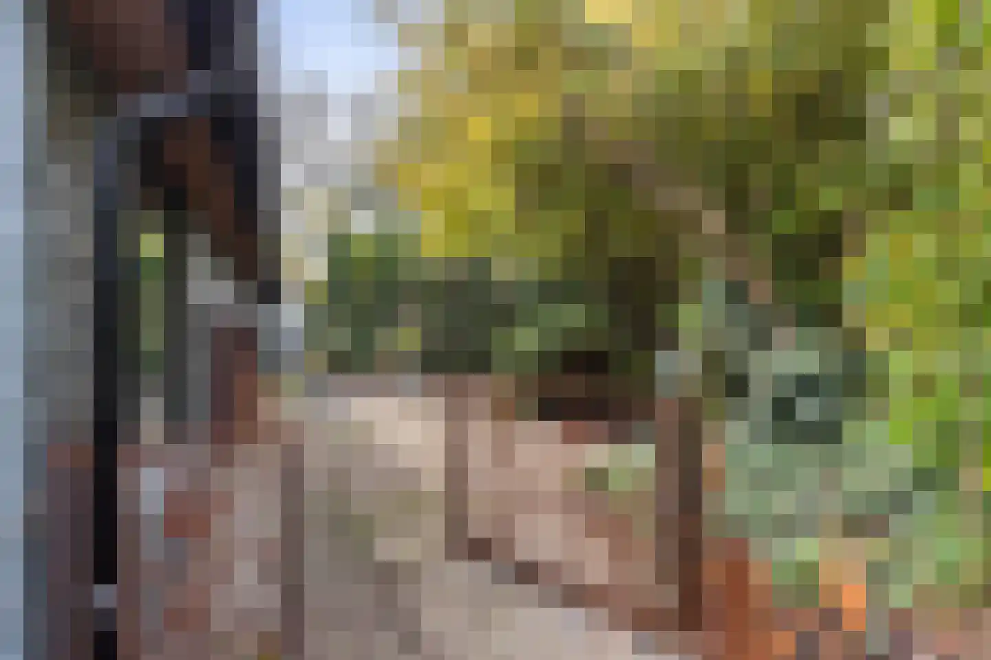 Kletterstraat 27 Epse thumbnail 94