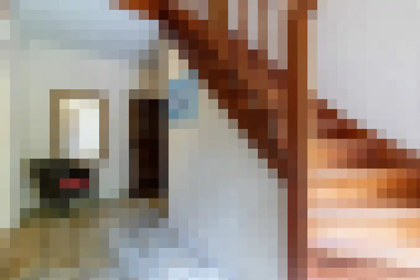 Kleuterhuislaan 1 Rijsbergen thumbnail 10