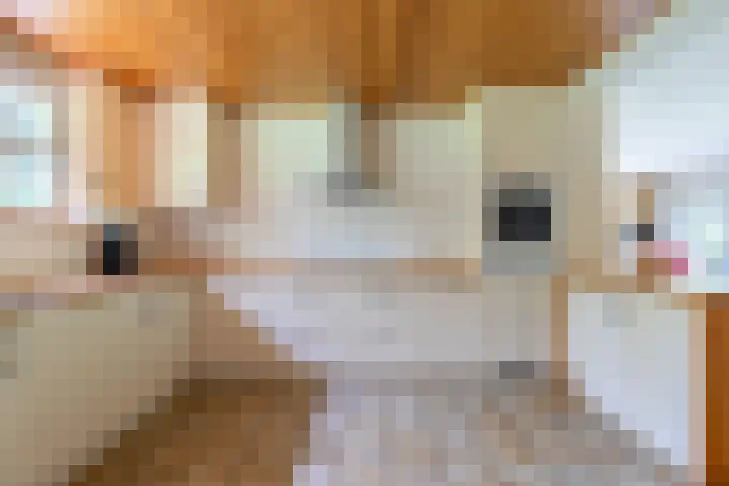 Kleuterhuislaan 1 Rijsbergen thumbnail 24