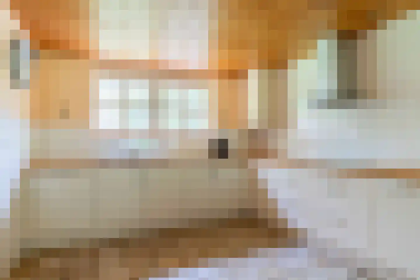 Kleuterhuislaan 1 Rijsbergen thumbnail 25