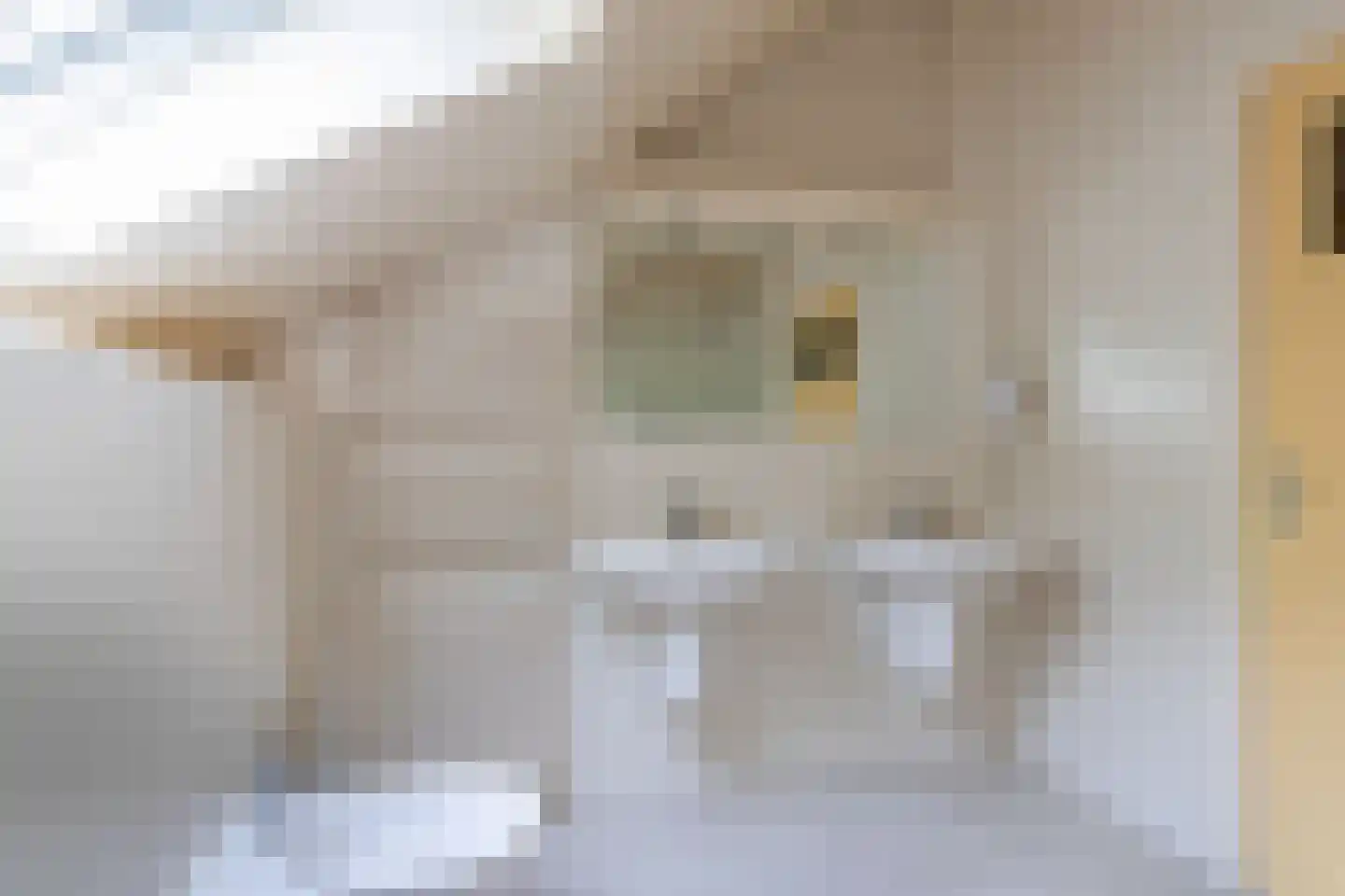 Kleuterhuislaan 1 Rijsbergen thumbnail 45