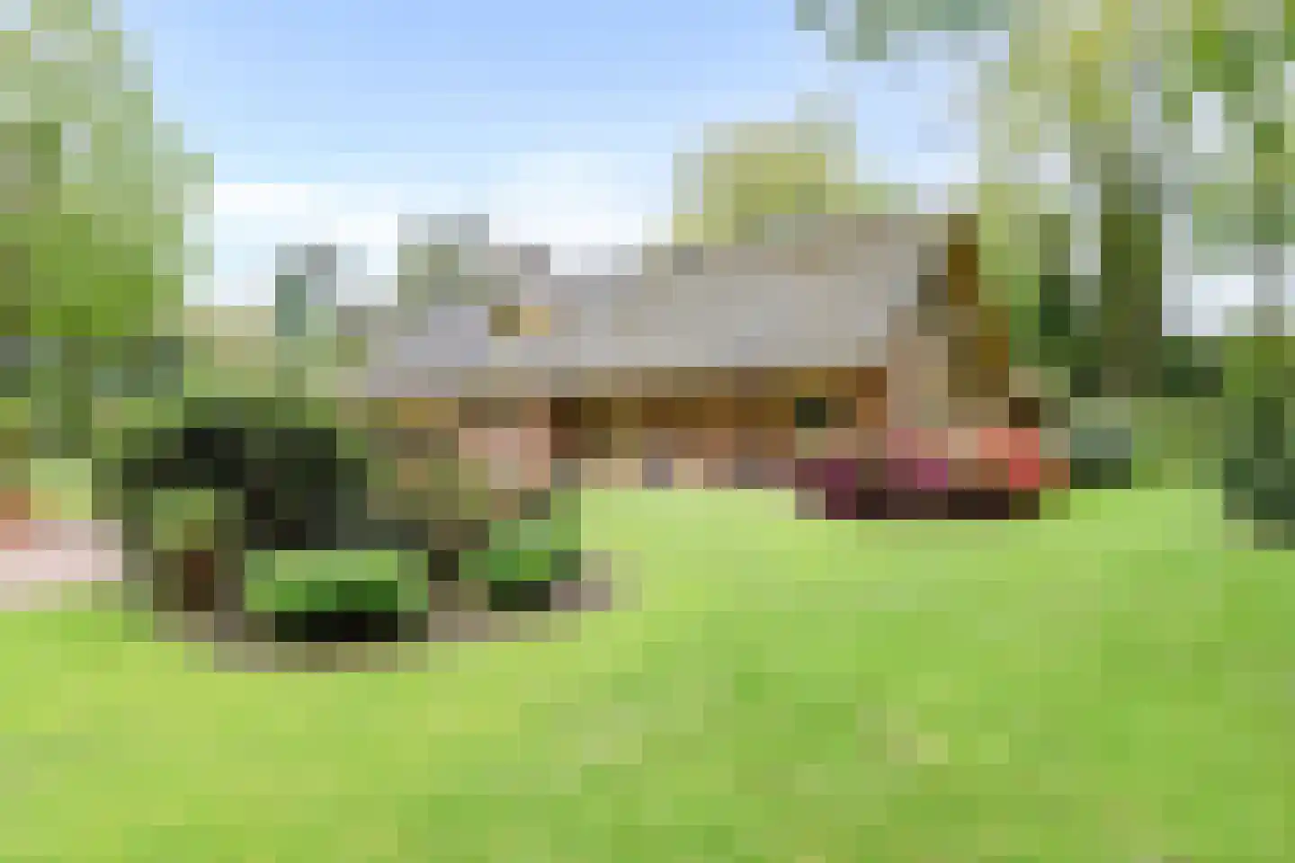 Kleuterhuislaan 1 Rijsbergen thumbnail 50