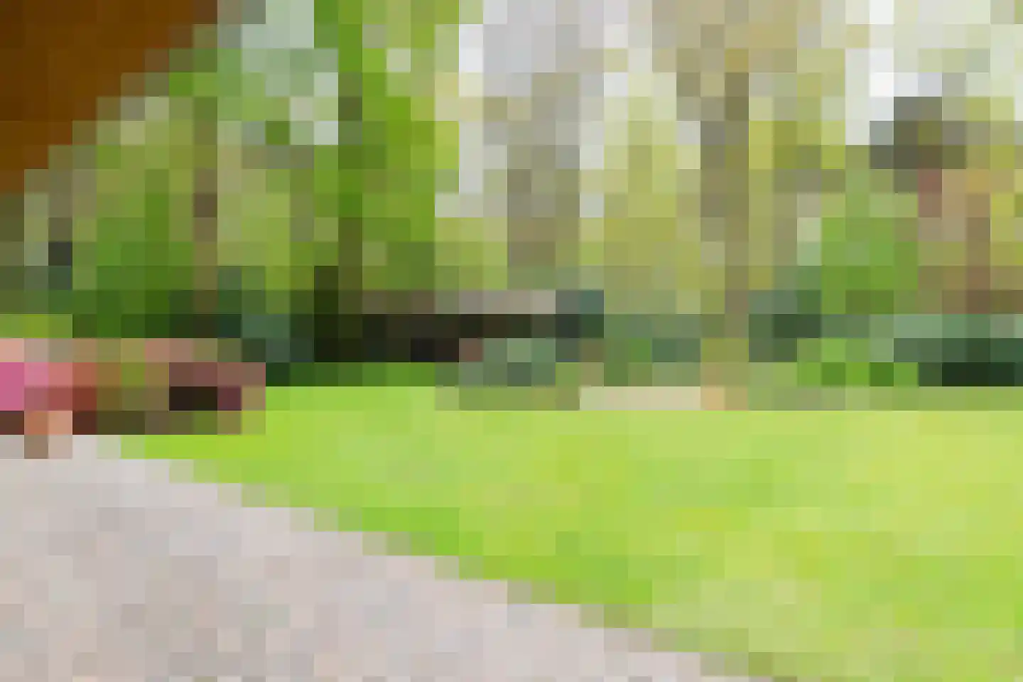 Kleuterhuislaan 1 Rijsbergen thumbnail 51