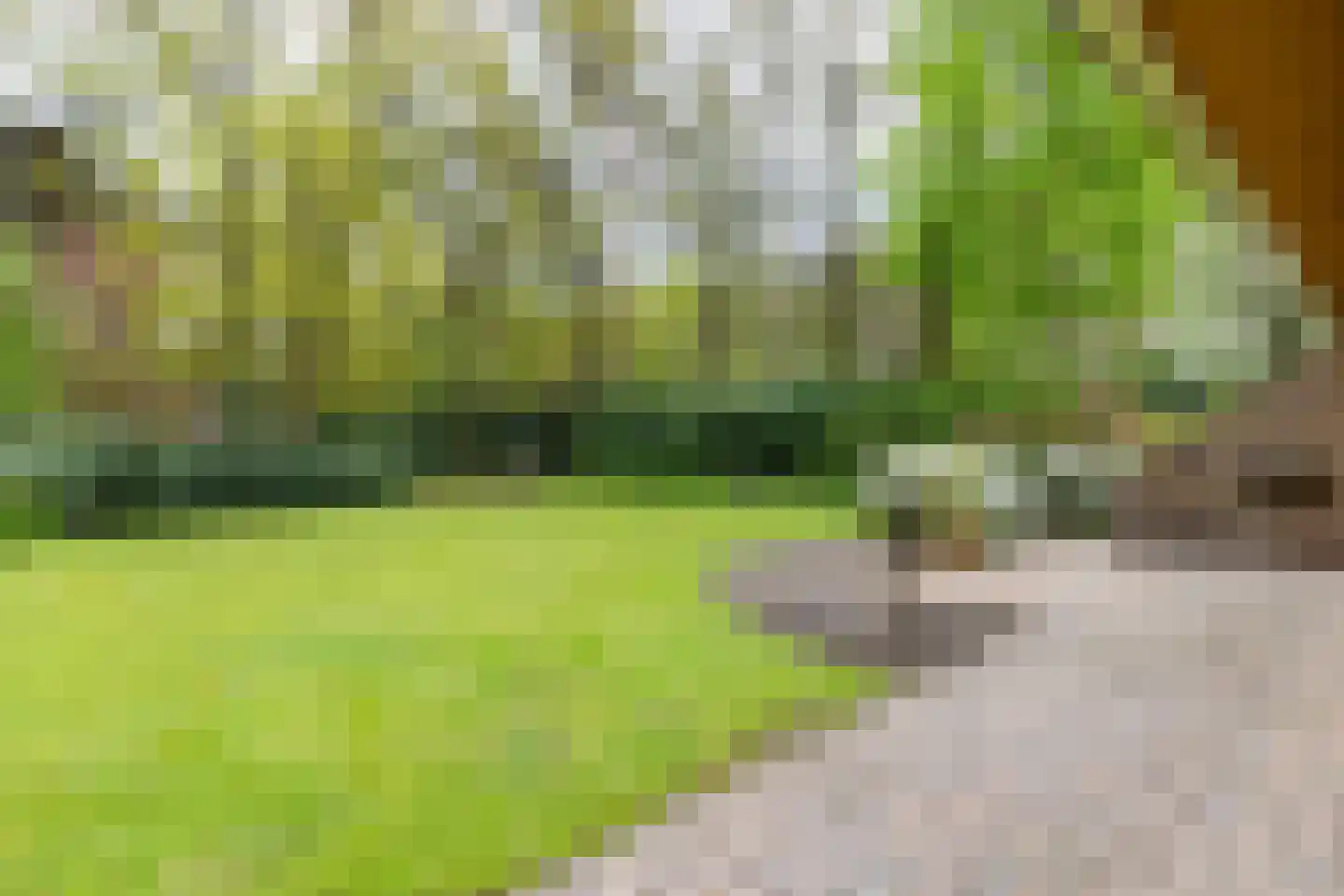 Kleuterhuislaan 1 Rijsbergen thumbnail 56