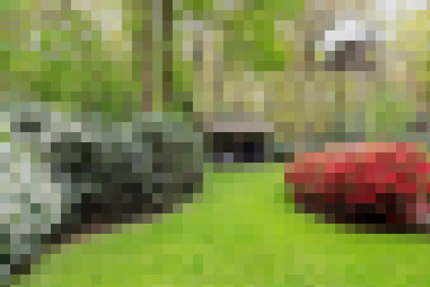 Kleuterhuislaan 1 Rijsbergen thumbnail 57