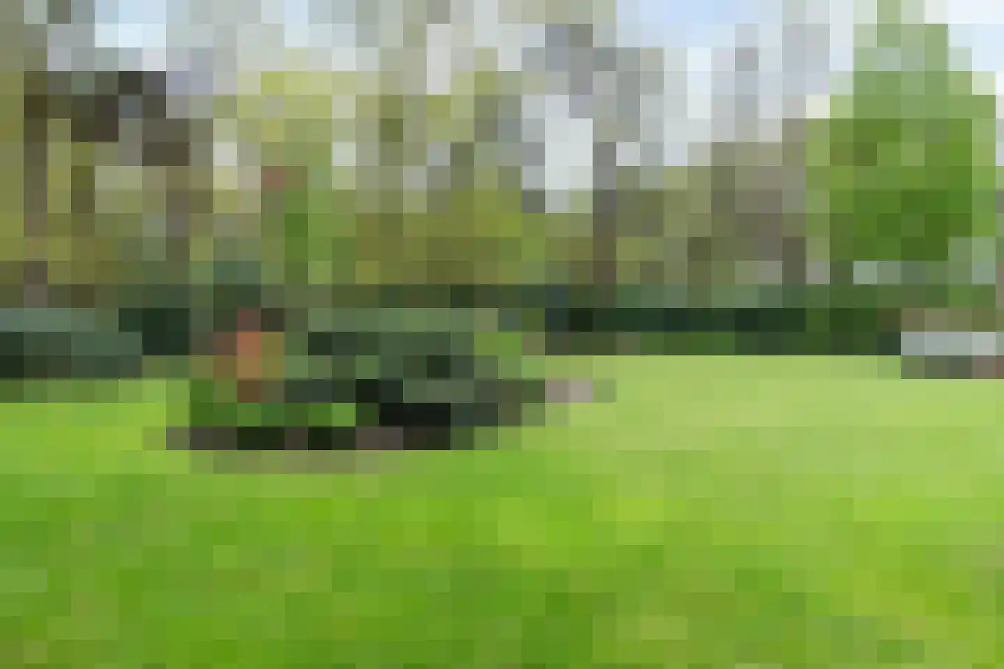 Kleuterhuislaan 1 Rijsbergen thumbnail 58
