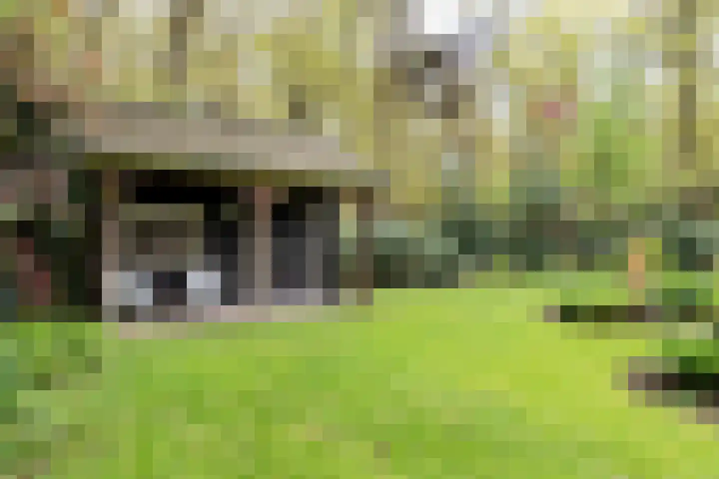 Kleuterhuislaan 1 Rijsbergen thumbnail 59