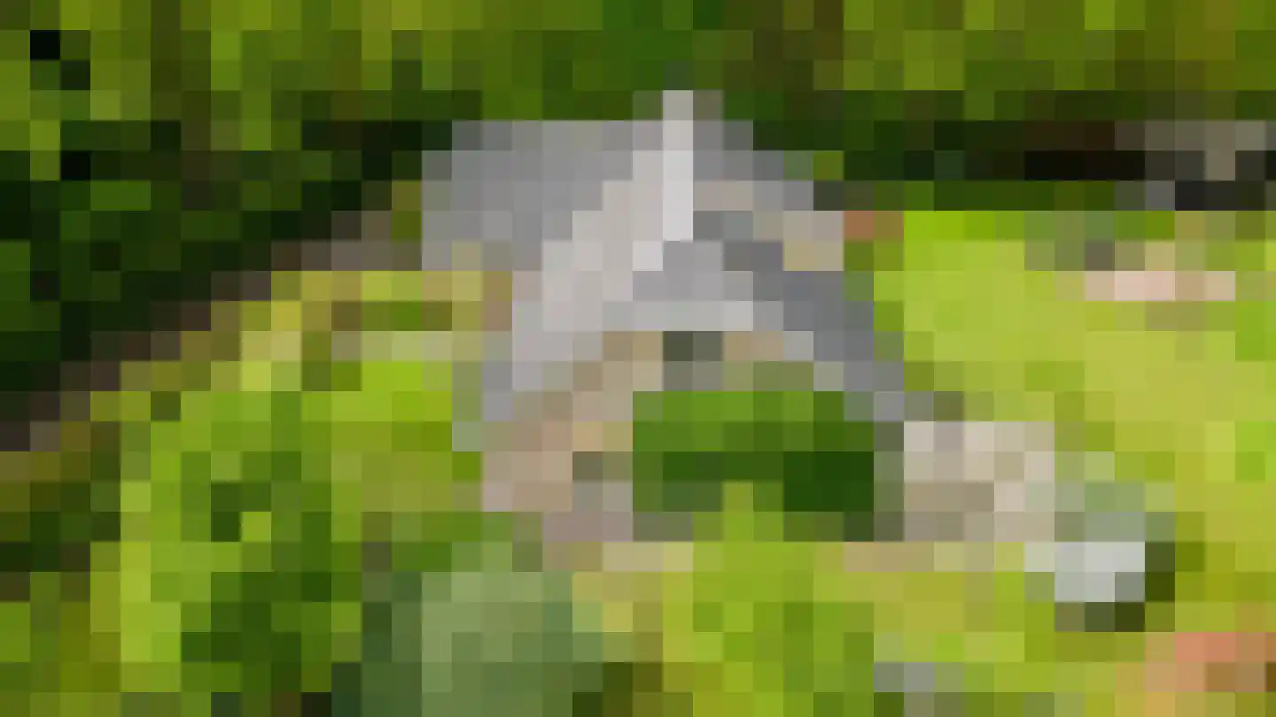 Kleuterhuislaan 1 Rijsbergen thumbnail 6