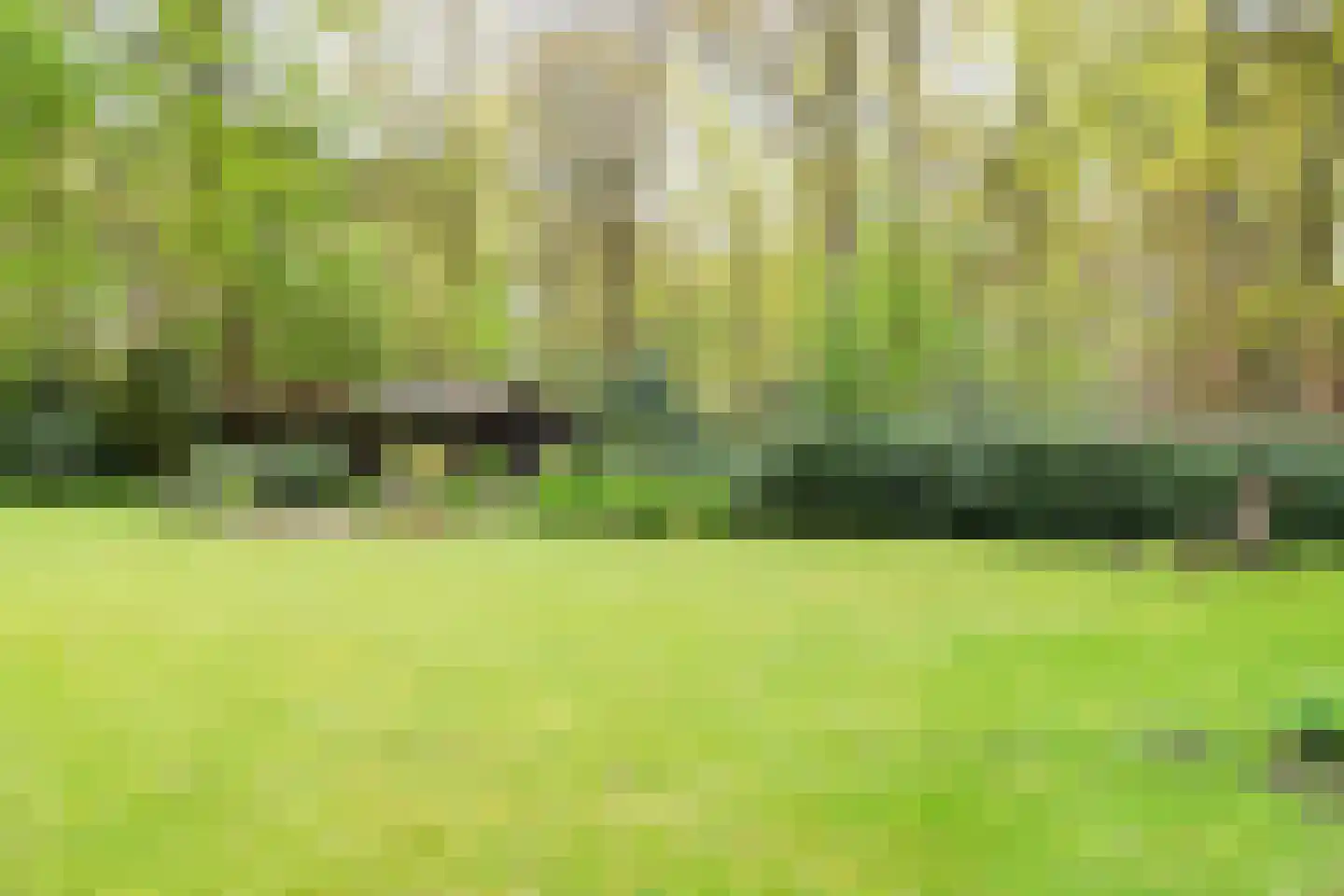Kleuterhuislaan 1 Rijsbergen thumbnail 61