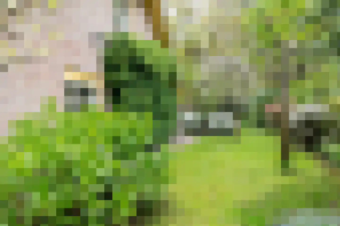 Kleuterhuislaan 1 Rijsbergen thumbnail 62