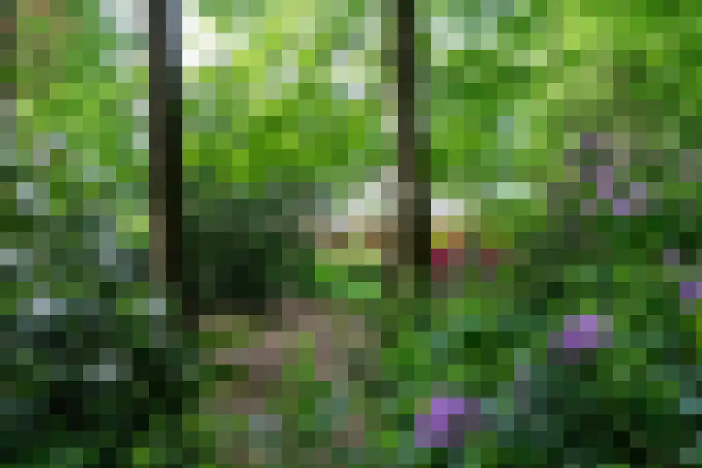 Kleuterhuislaan 1 Rijsbergen thumbnail 63