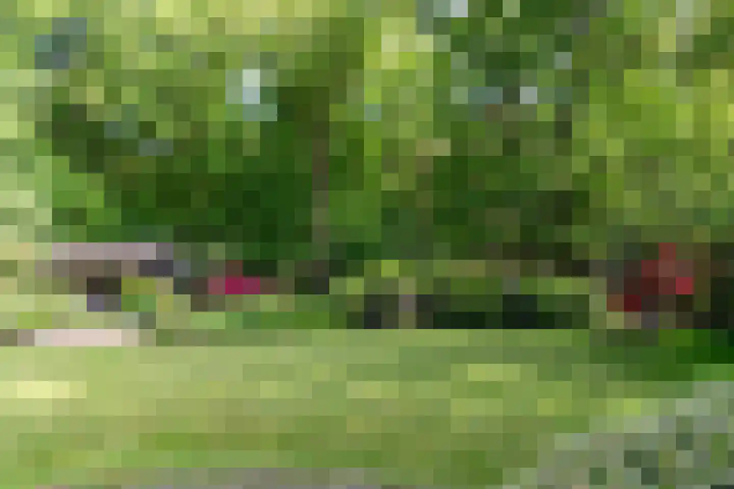 Kleuterhuislaan 1 Rijsbergen thumbnail 64