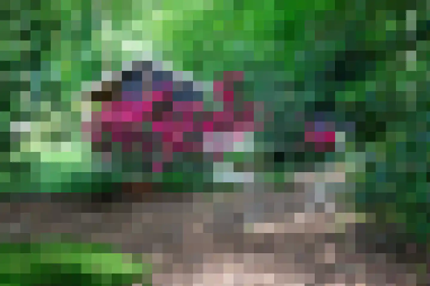 Kleuterhuislaan 1 Rijsbergen thumbnail 65